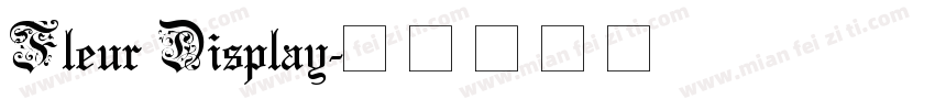 Fleur Display字体转换